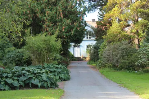 En vacker trädgård med en blåvit villa i bakgrunden. En stig leder fram till huset, kantad av frodiga växter och buskar som ser ut att vara redo att plantera buskar.