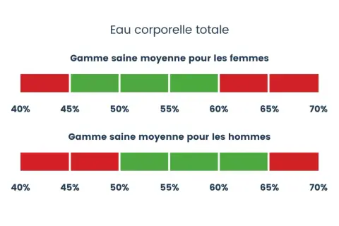 Barres illustrant le pourcentage d'eau dans le corps : une gamme saine pour les femmes (45-60%) et pour les hommes (40-65%).