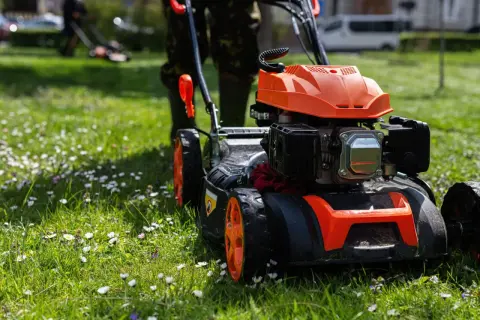 Kosiarka polskiego producenta kosiarek z pomarańczowymi detalami na tle zielonej trawy z kwiatami.