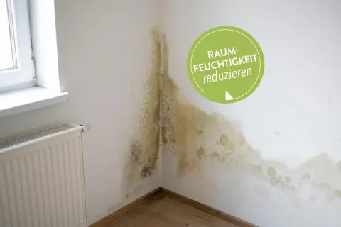 Schimmel an der Wand deutet auf 70 prozent luftfeuchtigkeit in der wohnung hin. Ein grüner Kreis fordert: "Raumfeuchtigkeit reduzieren".