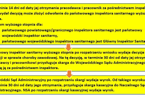 Jak wypełnić wniosek o chorobę zawodową i uniknąć błędów?