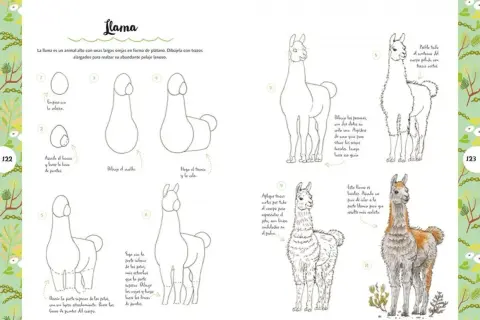 Instrucciones paso a paso para dibujar llamas, ideales como animales para dibujar fáciles.