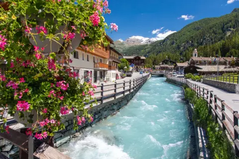 Fiori rosa adornano un vaso, affacciandosi su un torrente azzurro che attraversa i pittoreschi paesi del Val d'Ayas, con montagne innevate sullo sfondo.
