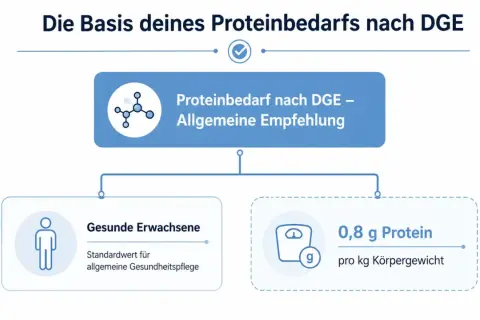 Empfehlung der DGE: 0,8 g Protein pro kg Körpergewicht für gesunde Erwachsene.