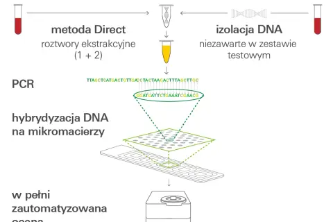 Co wykrywa badanie mikromacierzy? Kluczowe informacje o nieprawidłowościach