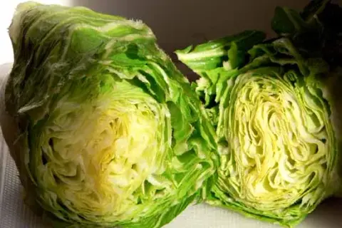 Chicorée pain de sucre : adieu l'amertume, bonjour les saveurs !