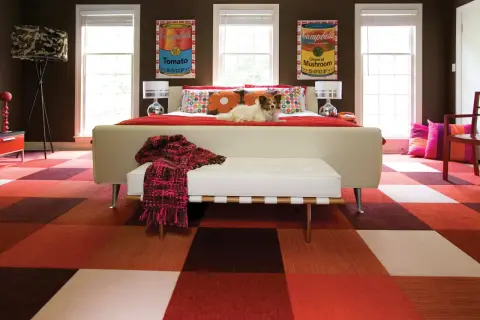 A dog lounges on a bed in a room with a bold, kitsch style. The floor features a checkered pattern of red and brown squares, and the walls are adorned with Campbell's soup can art.