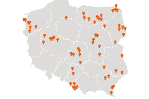 Mapa Polski z zaznaczonymi pomarańczowymi grzybami w różnych lokalizacjach.