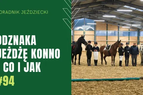 Gdzie można zdać odznakę jeżdżę konno? Sprawdź najlepsze miejsca