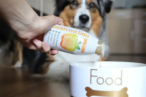 Hand gießt Smoothie für Hund ins Futter. Der Hund frisst im Urlaub nicht, aber dieser Snack könnte helfen.