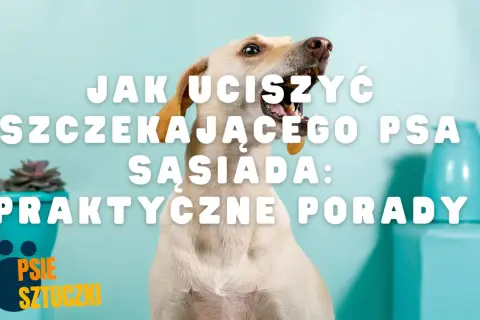 Szczekający pies sąsiada? Jak odzyskać spokój w bloku!