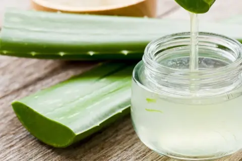 Frisches, reines Aloe Vera Gel tropft aus einem Blatt in ein Glasgefäß. Daneben liegen weitere Aloe Vera Blätter auf Holz.