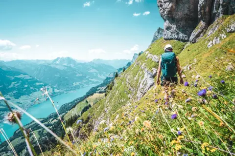 Vandra i Schweiz längs en bergssluttning med en turkos sjö nedanför. Blommor i förgrunden, en vandrare med ryggsäck på väg uppåt.