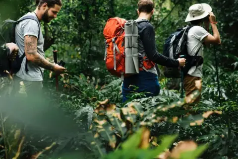 Drei thru hiker wandern durch einen dichten, grünen Dschungel. Einer hält eine Kamera, ein anderer schaut sich um.