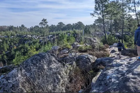 Deux coureurs s'aventurent sur un sentier rocheux dans la forêt de Fontainebleau, entourés de pins et de blocs de grès.
