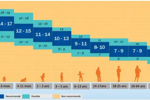 Graphique montrant le temps de sommeil par âge, des nourrissons aux seniors. Les heures recommandées varient de 18-19h pour les nouveau-nés à 7-8h pour les adultes.