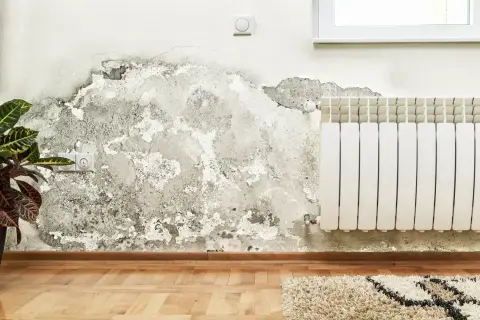Grzyb w domu rozrasta się na wilgotnej ścianie obok kaloryfera.