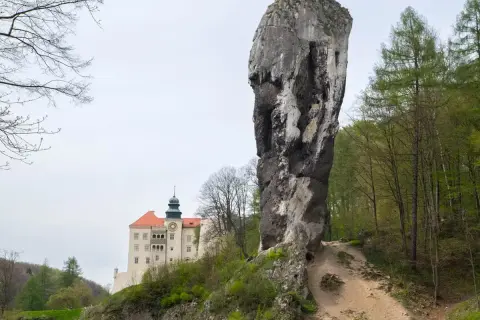 Skała w kształcie maczugi i zamek na wzgórzu to malowniczy widok na jura krakowsko częstochowska trasa.