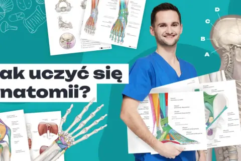 Nauka anatomii: Zdałem! Skuteczne metody i aplikacje 3D