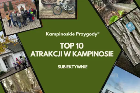 Kampinoskie Przygody: TOP 10 atrakcji w Kampinosie. Odkryj piękno puszczy kampinoskiej, od zabytków po dziką przyrodę.