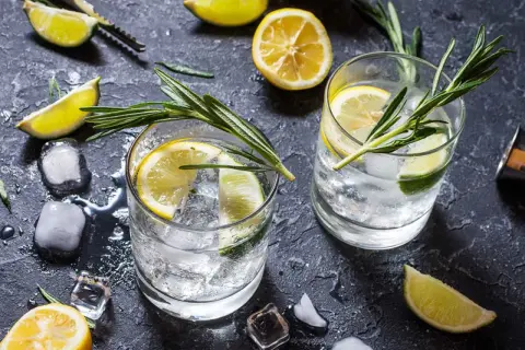 Två glas med gin och tonic, is, citron- och limeklyftor samt rosmarinkvistar på en mörk yta.