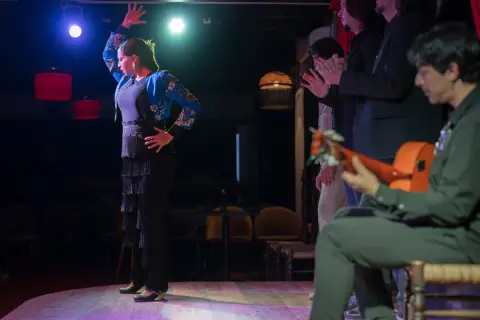 Una bailaora de flamenco, con su falda de flecos y chaqueta bordada, cautiva al público. A su lado, músicos y palmeros acompañan con pasión.