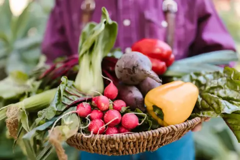 Koszyk pełen świeżych warzyw: rzodkiewki, buraki, papryka, kapusta pak choi. Idealny zbiór, by zastanowić się, jaki nawóz pod warzywa na wiosnę będzie najlepszy.