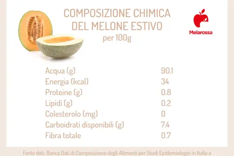 Melone retato: 34 kcal per 100g. La tabella mostra la composizione chimica, con acqua, proteine, lipidi, carboidrati e fibra.