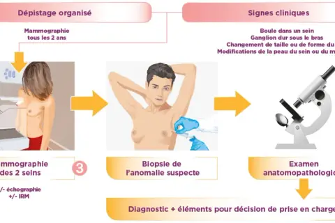 Un examen anatomopathologique suit une biopsie, étape clé pour le diagnostic.