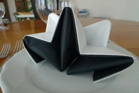 Pliage serviette accordéon 2 couleurs, noir et blanc, formant une étoile sur une assiette blanche.