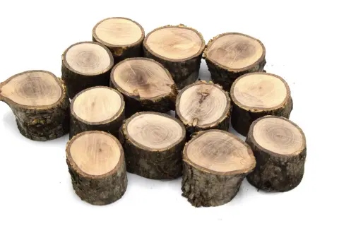 Montón de troncos de madera en bruto, listos para comprar y usar en manualidades o decoración.