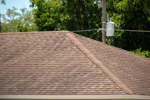 A brown asphalt shingle roof, showing signs of algae growth, possibly Gloeocapsa magma, with trees and a utility pole in the background.