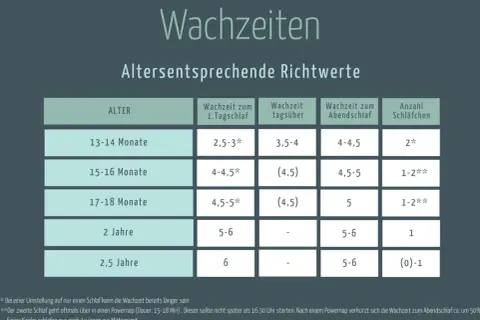 Tabelle zeigt altersentsprechende Wachzeiten für Babys und Kleinkinder, von 13 Monaten bis 2,5 Jahren.