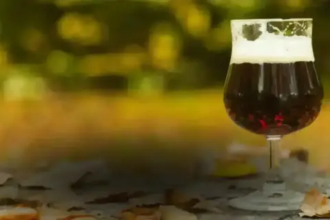 Un bicchiere di birra porter scura con schiuma cremosa, su un tavolo autunnale con foglie cadute.