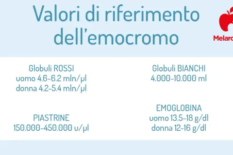 Valori di riferimento dell'emocromo: globuli rossi, bianchi, piastrine ed emoglobina. Scopri cosa sono e i valori normali.