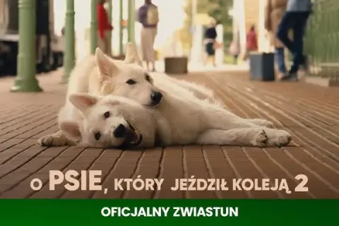 Film o psie który jeździł koleją dla dzieci – wzruszająca historia przyjaźni