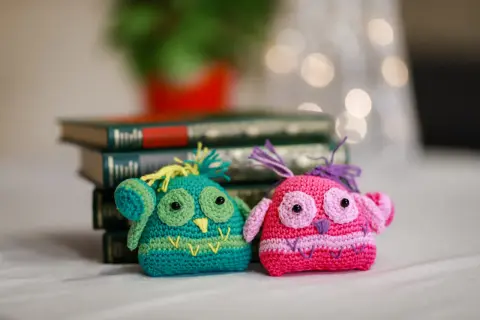 Due gufi all'uncinetto, uno verde e uno rosa, seduti davanti a libri antichi. Un dolce schema per creare questi simpatici amici.