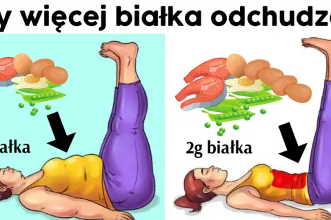 Białko na redukcji: Ile jeść, by spalać tłuszcz i chronić mięśnie?