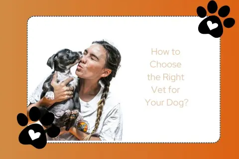 A woman kisses a puppy. Text reads: "How to Choose the Right Vet for Your Dog?