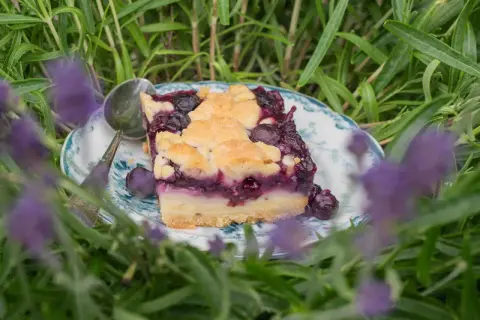 Ein Stück Heidelbeerkuchen mit Vanillepudding, umgeben von Lavendel.