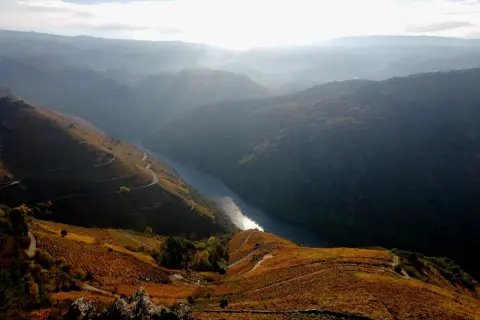 Vistas impresionantes desde el mirador Pena do Castelo, con un río serpenteante y viñedos otoñales dorados.