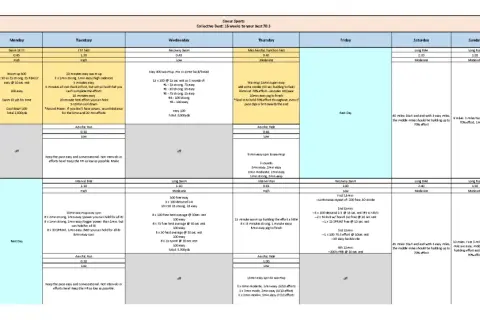 Triathlete training plan with swim, bike, and run workouts. Includes daily schedules and notes for a 16-week program.