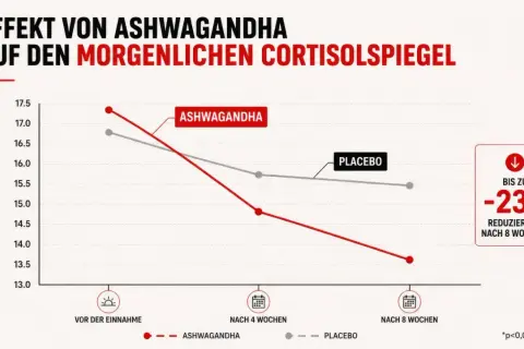 Grafik zeigt, wie Ashwagandha den morgendlichen Cortisolspiegel senkt. Bis zu 23% Reduzierung nach 8 Wochen, was bei der Gewichtsabnahme helfen kann.