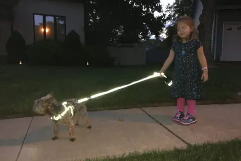 Une petite fille promène son chien, visiblement en soirée. Le chien porte un harnais réfléchissant qui brille intensément, assurant sa visibilité.