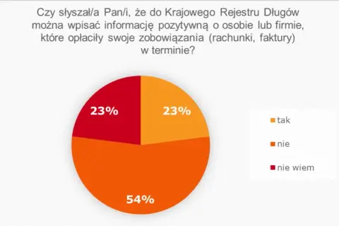 Jak działa Krajowy Rejestr Długów i co musisz wiedzieć, aby uniknąć problemów