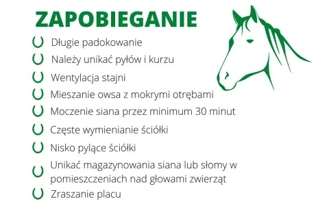 Zadbaj o zdrowie koni: zapobieganie chorobom układu oddechowego poprzez odpowiednią wentylację, czystą ściółkę i unikanie kurzu.