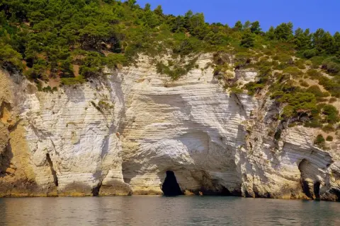 Scogliere bianche e grotte marine, un vero spettacolo da vedere a Vieste, con la macchia mediterranea che abbraccia la costa.