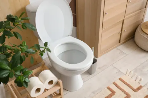 Un élégant WC blanc, prêt à l'emploi, avec un rouleau de papier toilette à proximité. Un choix judicieux pour votre salle de bain.