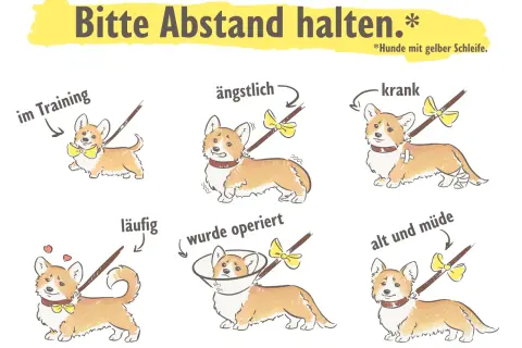 Sechs Corgis mit gelben Schleifen, die verschiedene Zustände wie "im Training", "ängstlich", "krank" und "operiert" darstellen.