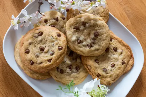 Schokoladenkekse auf einem Teller, verziert mit Kirschblüten. Ein einfaches Cookies Rezept, das immer gelingt und Freude macht.